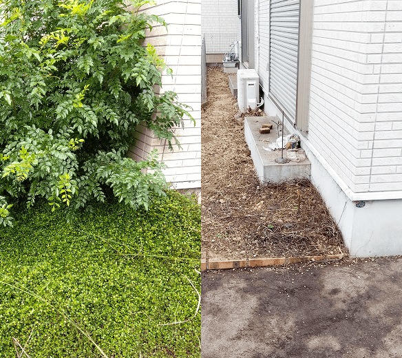 草むしり・伐採 